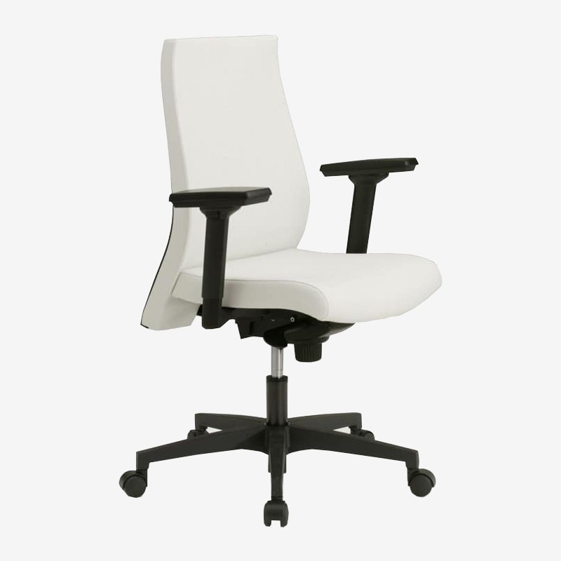 Office Chair Cushion